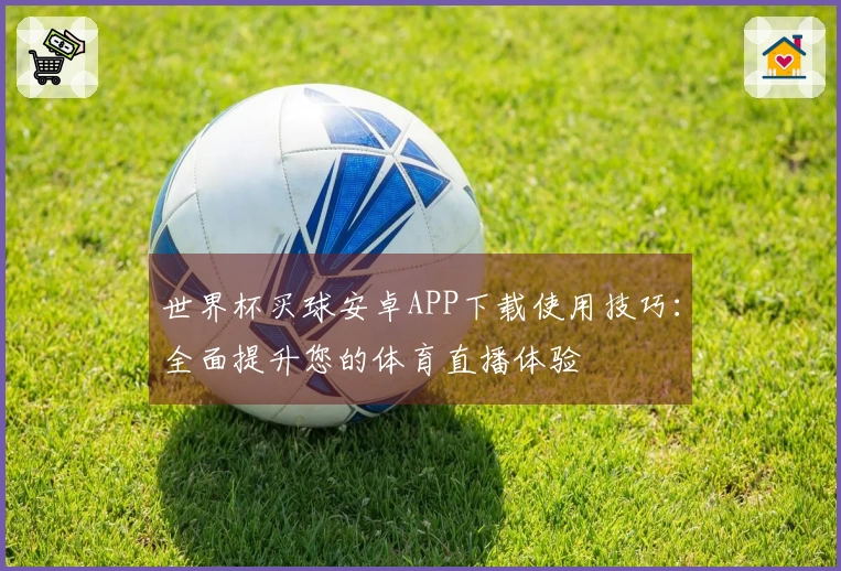 世界杯买球安卓APP下载使用技巧：全面提升您的体育直播体验