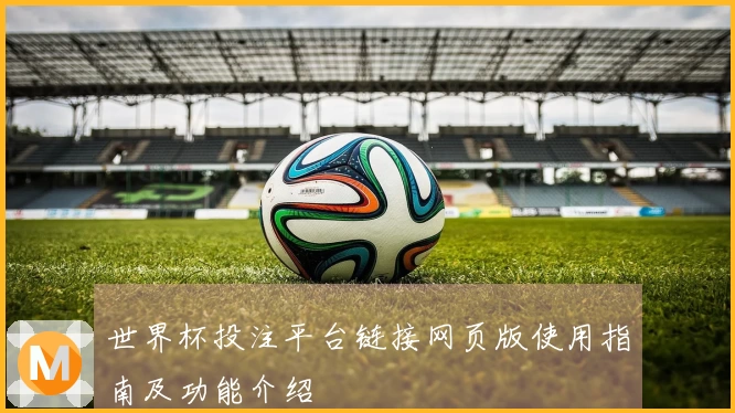 世界杯投注平台链接网页版使用指南及功能介绍